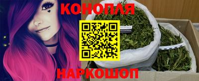 прущие грибы Ярославль
