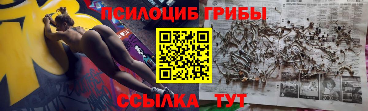 Галлюциногенные грибы мицелий  Вход с VPN  Дмитров 